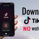 How to Download Tiktok video without Watermark?